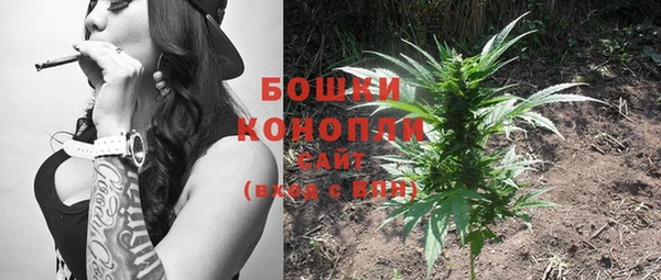 мдпв Надым