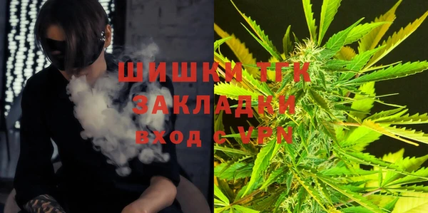 мдпв Надым