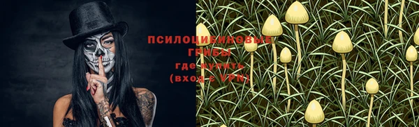 мдпв Надым