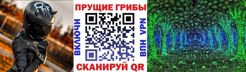 Псилоцибиновые грибы ЛСД  цены   Лукоянов 